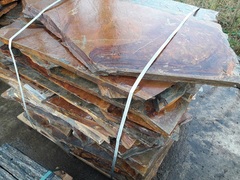 schiste pas japonais